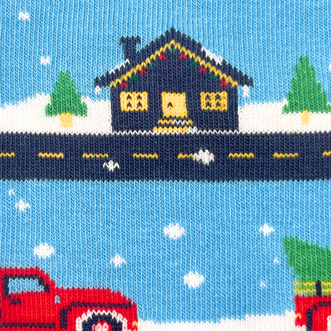 Christmas Vintage Truck & Living Room Socks